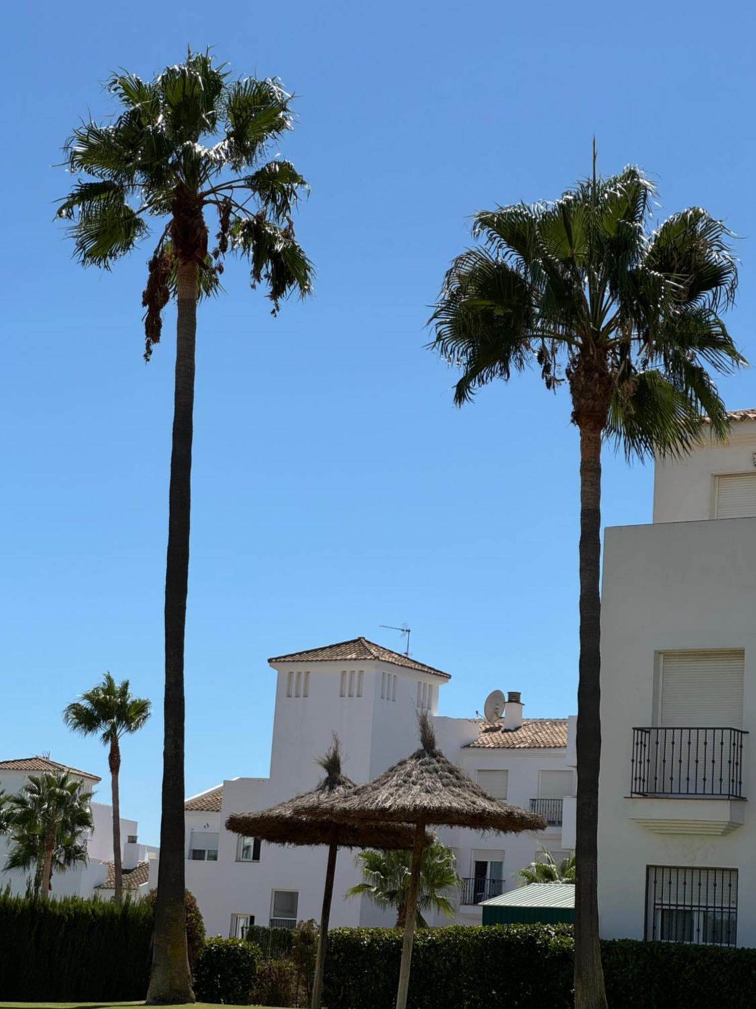 Casa Feliz - Penthouse In Manilva Leilighet Eksteriør bilde